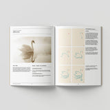 The Art of the Line in Drawing