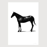 00_grammatical_FredericForest_Horse10_50x70cm