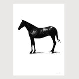 00_grammatical_FredericForest_Horse10_50x70cm