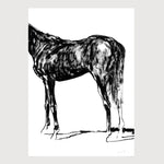 00_grammatical_FredericForest_Horse6_50x70cm
