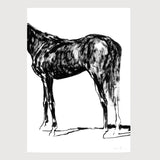 00_grammatical_FredericForest_Horse6_50x70cm
