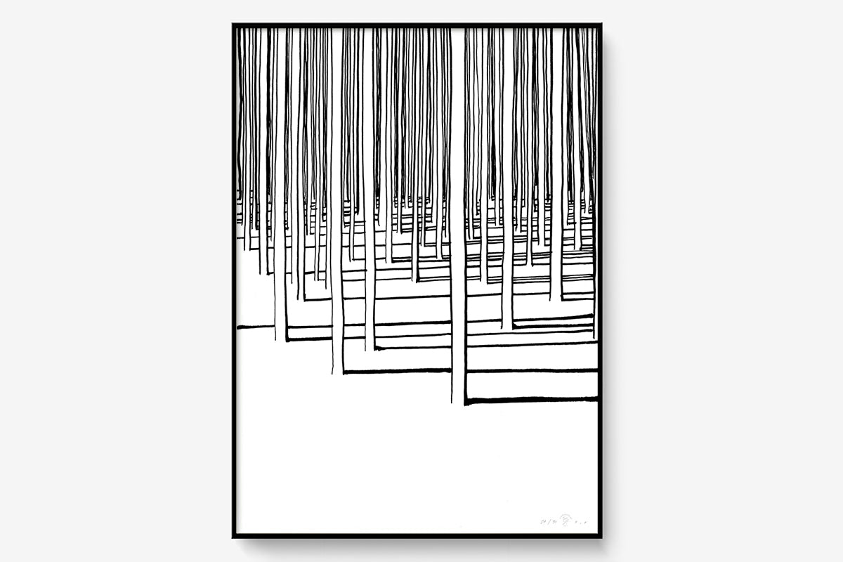 Cadre-noir_50x70cm_TheForest