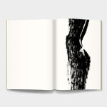 FredericForest_Grammatical_ArtBook_CarnetVole3Pages11