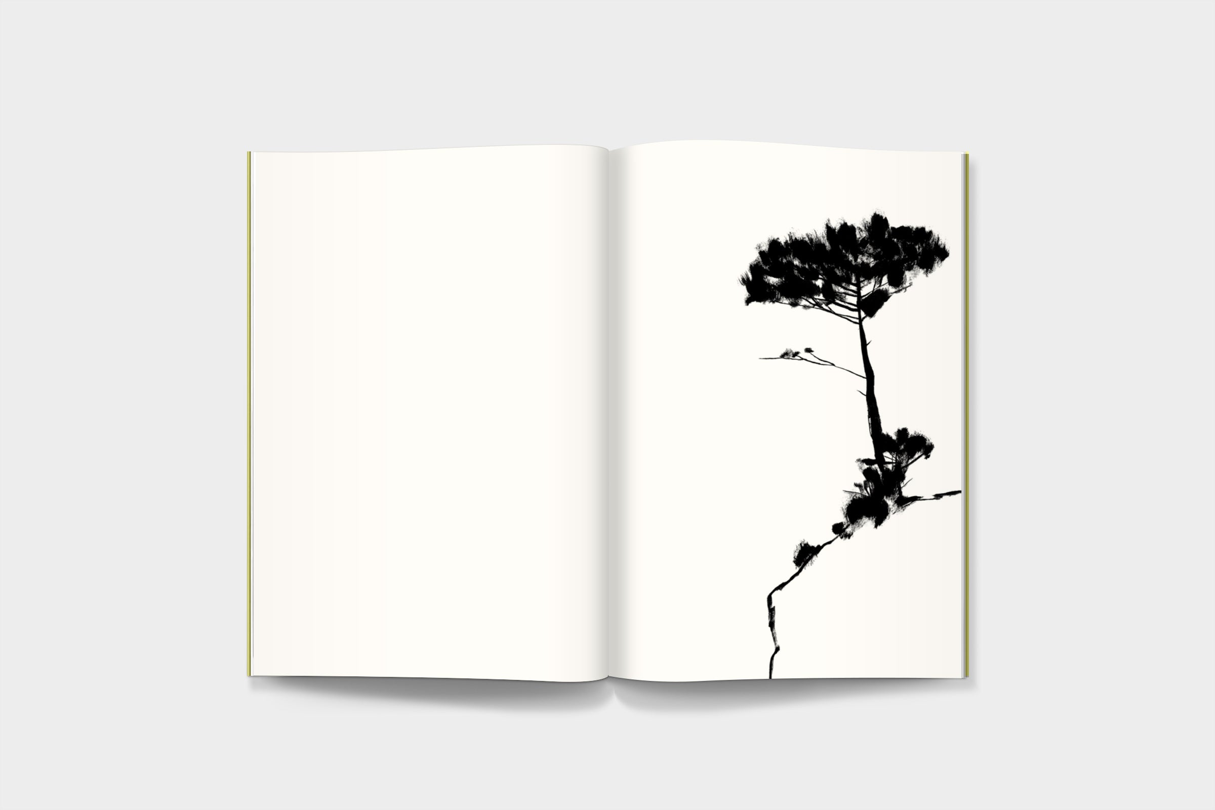 FredericForest_Grammatical_ArtBook_CarnetVole3Pages16