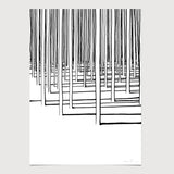 FredericForest_Grammatical_Neutral_50x70cm_TheForest