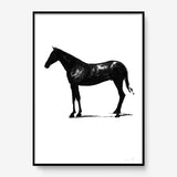 FredericForest_Grammatical_Print_MinimalDrawingArt_50x70cm_Horse10_Framed_Black