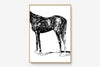 FredericForest_Grammatical_Print_MinimalDrawingArt_50x70cm_Horse6_Framed_Natural