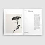 Grammatical_ArtBook_NomadesStudio_Finistere_02