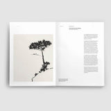 Grammatical_ArtBook_NomadesStudio_Finistere_02