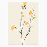 Floral — 1