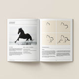 The Art of the Line in Drawing