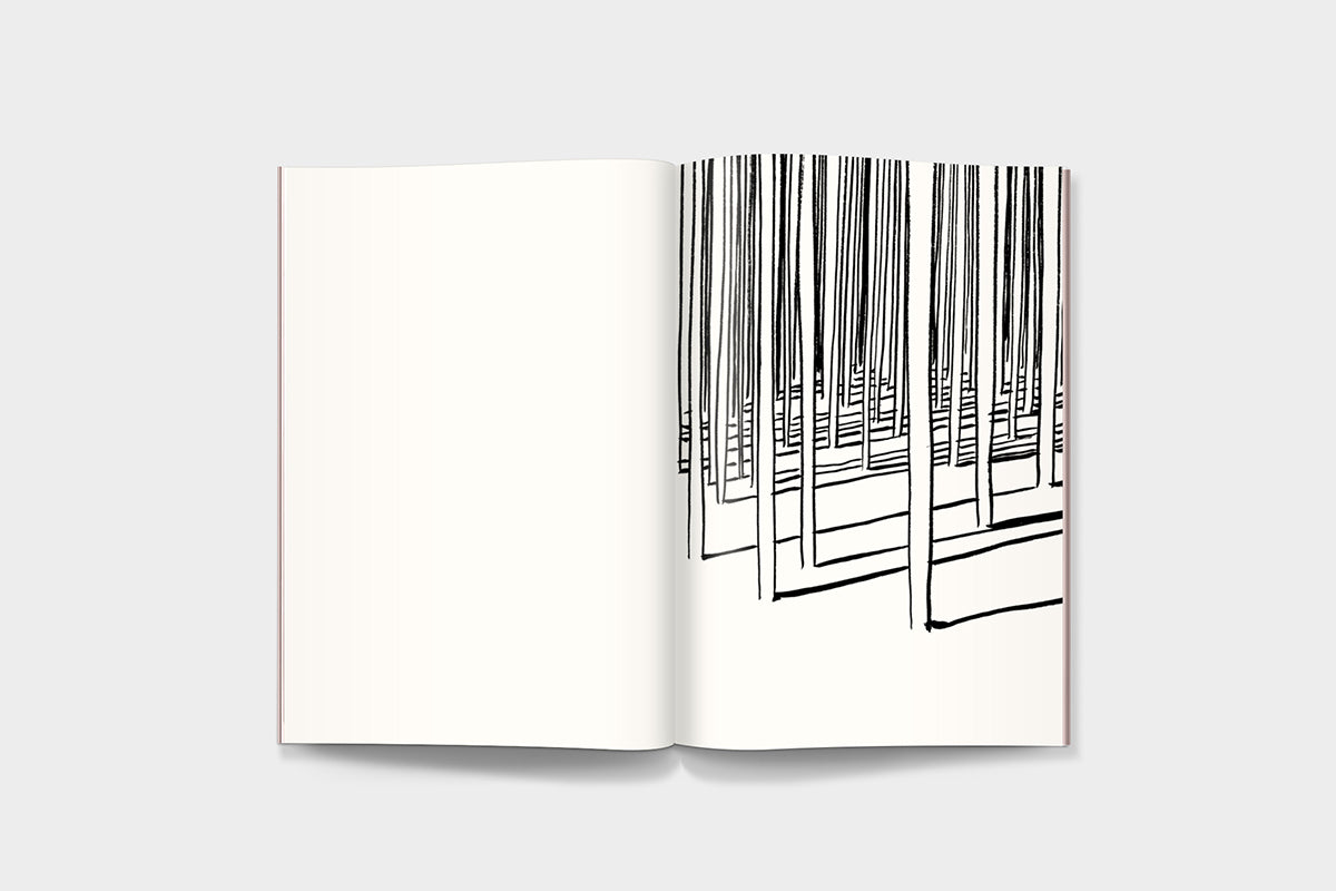 FredericForest_Grammatical_ArtBook_CarnetVole2_Pages_28