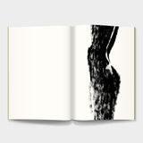 FredericForest_Grammatical_ArtBook_CarnetVole3Pages11