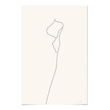Arum