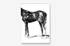 FredericForest_Grammatical_Print_MinimalDrawingArt_50x70cm_Horse6_Framed_White