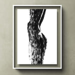 FredericForest_grammatical_t_LineDrawing_WomanStandingWithHerShadow_scene10